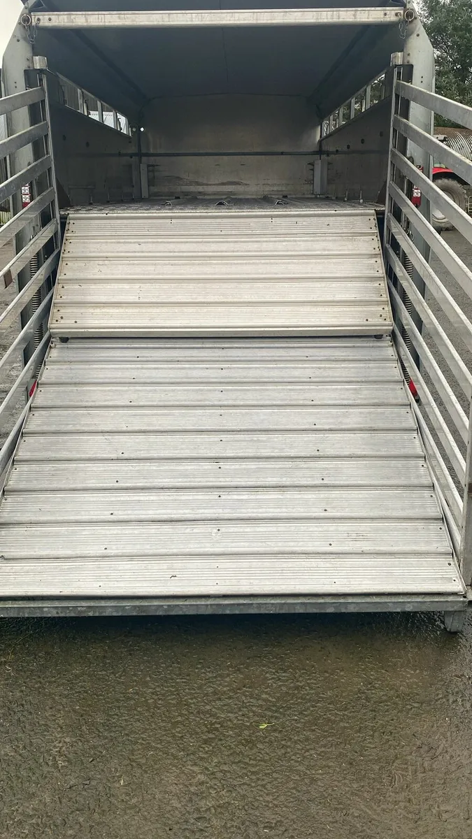 12×5'10 Ifor Williams Cattle Box with Sheep Decks - Image 1
