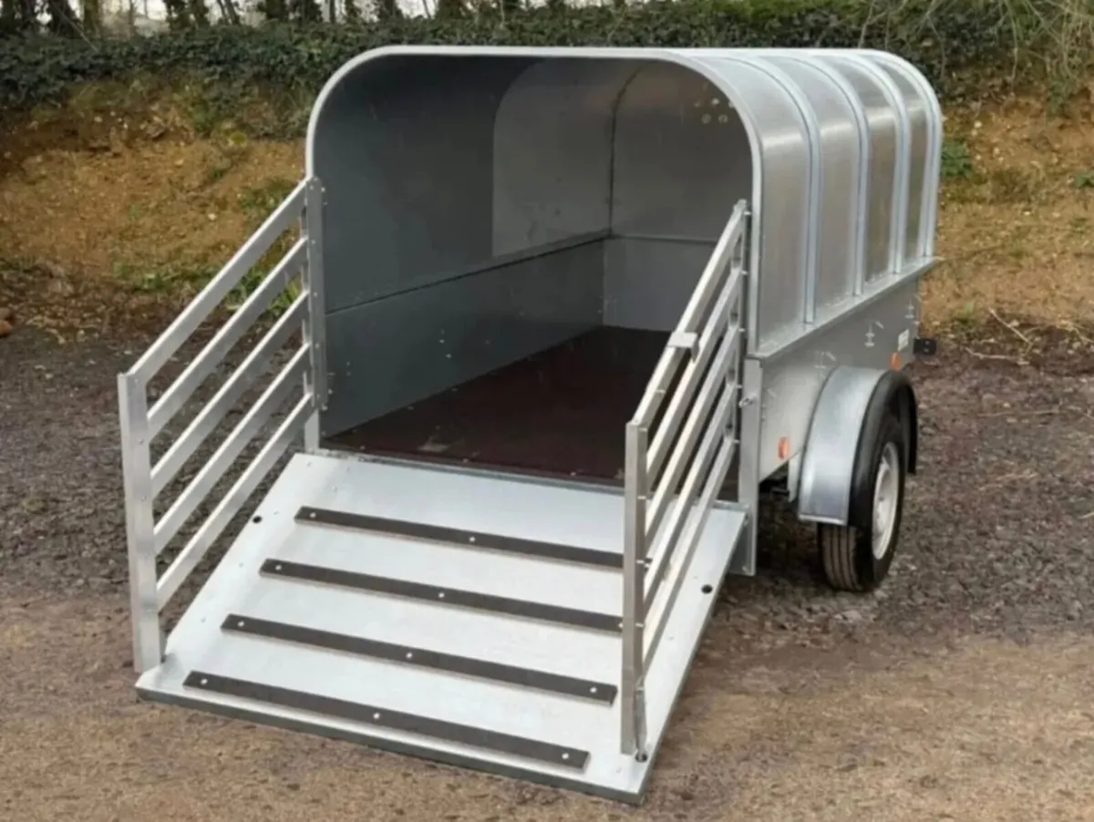 YOUNGSTOCK TRAILER 7x4 NEW A STAR - Image 2