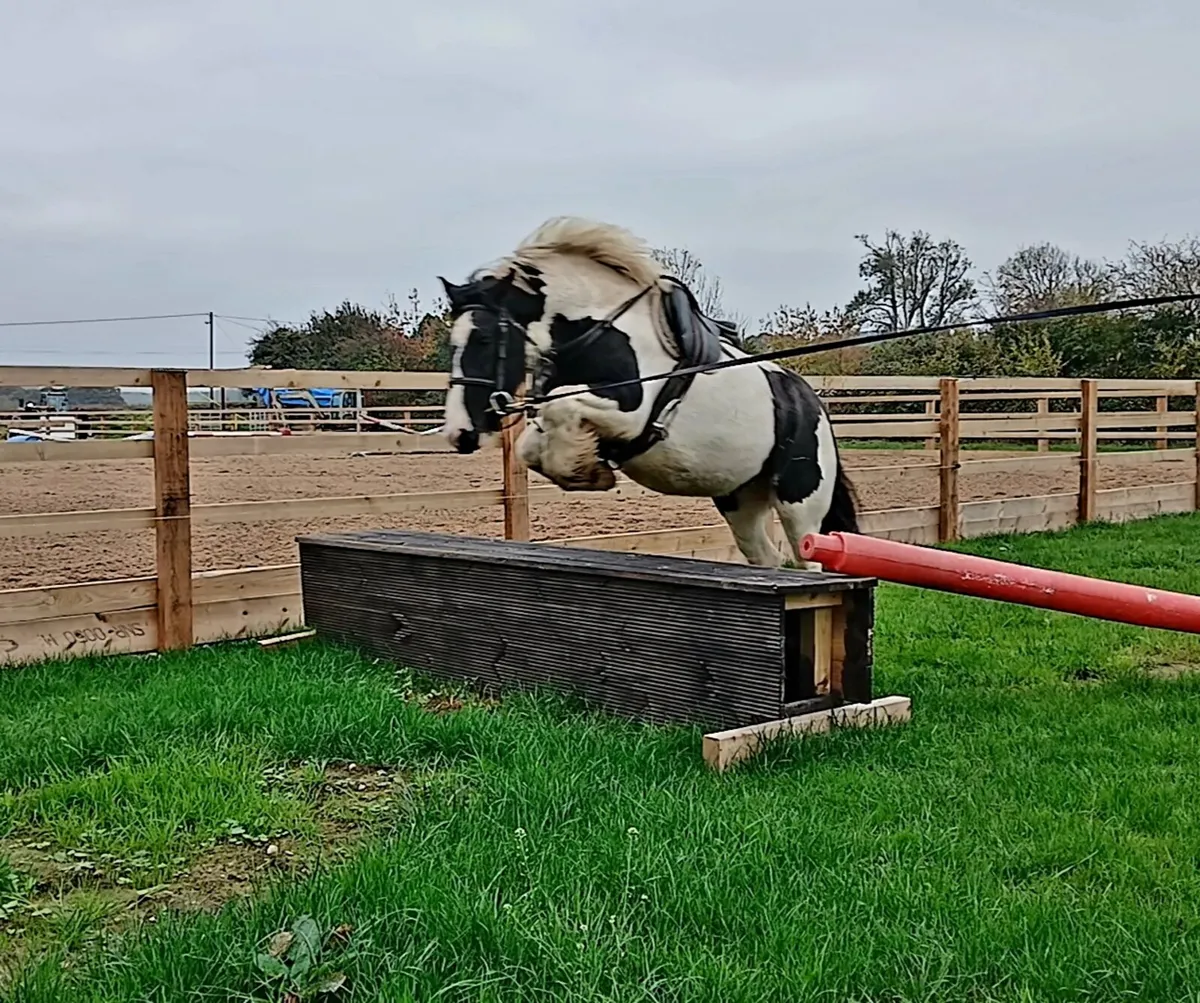 14.2 broken and riding - Image 1