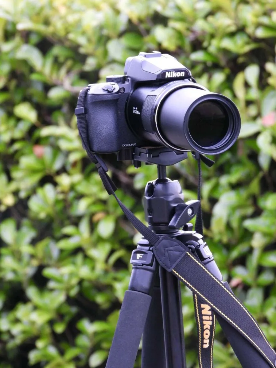 Nikon P950 - Image 4