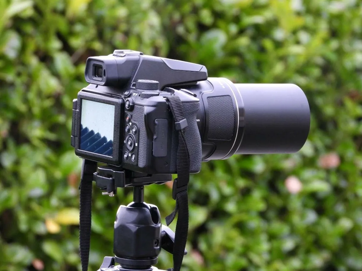 Nikon P950 - Image 3