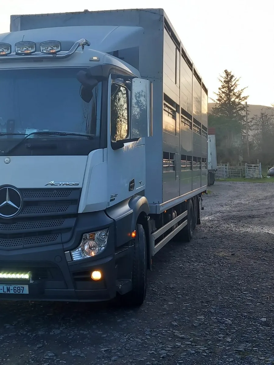 Livestock Mercedes-Benz Actros 2013 - Image 2