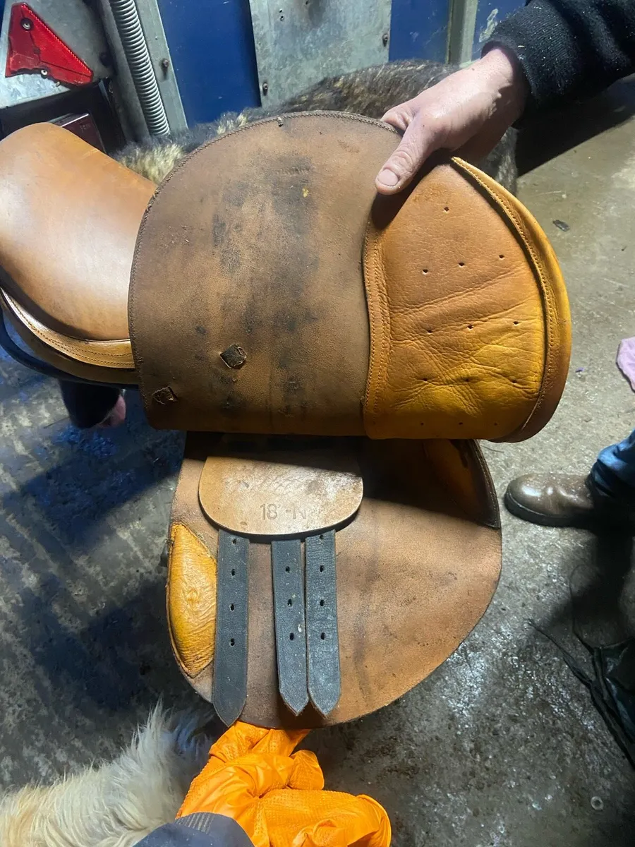 Saddle 18” - Image 3