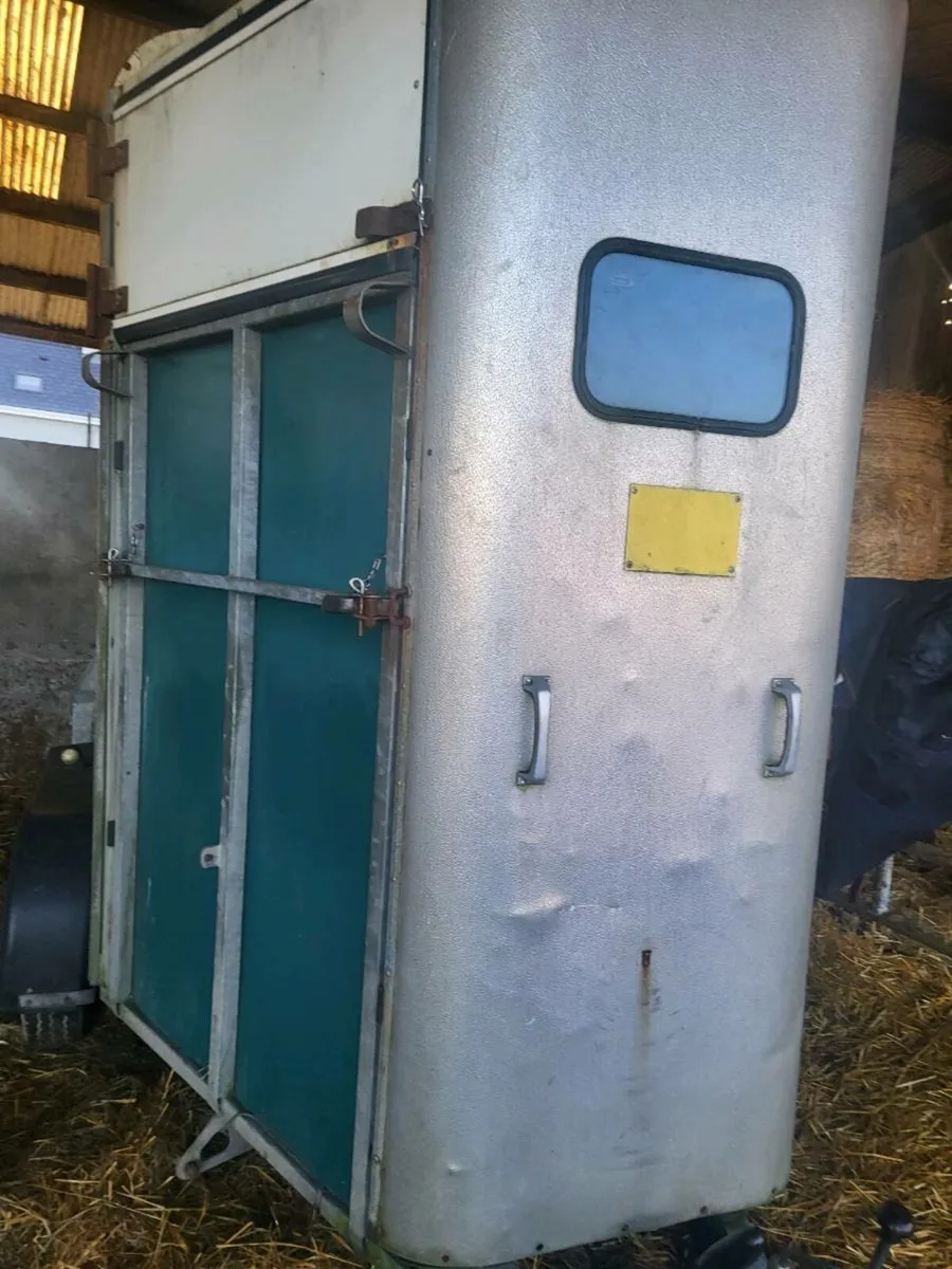 IVOR WILLIAMS HUNTER 2HORSE BOX - Image 3