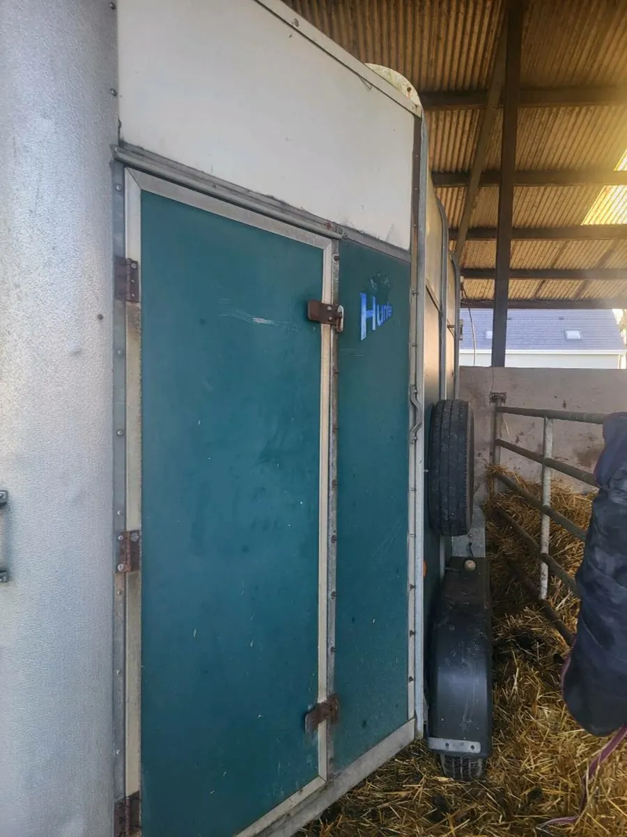 IVOR WILLIAMS HUNTER 2HORSE BOX - Image 4