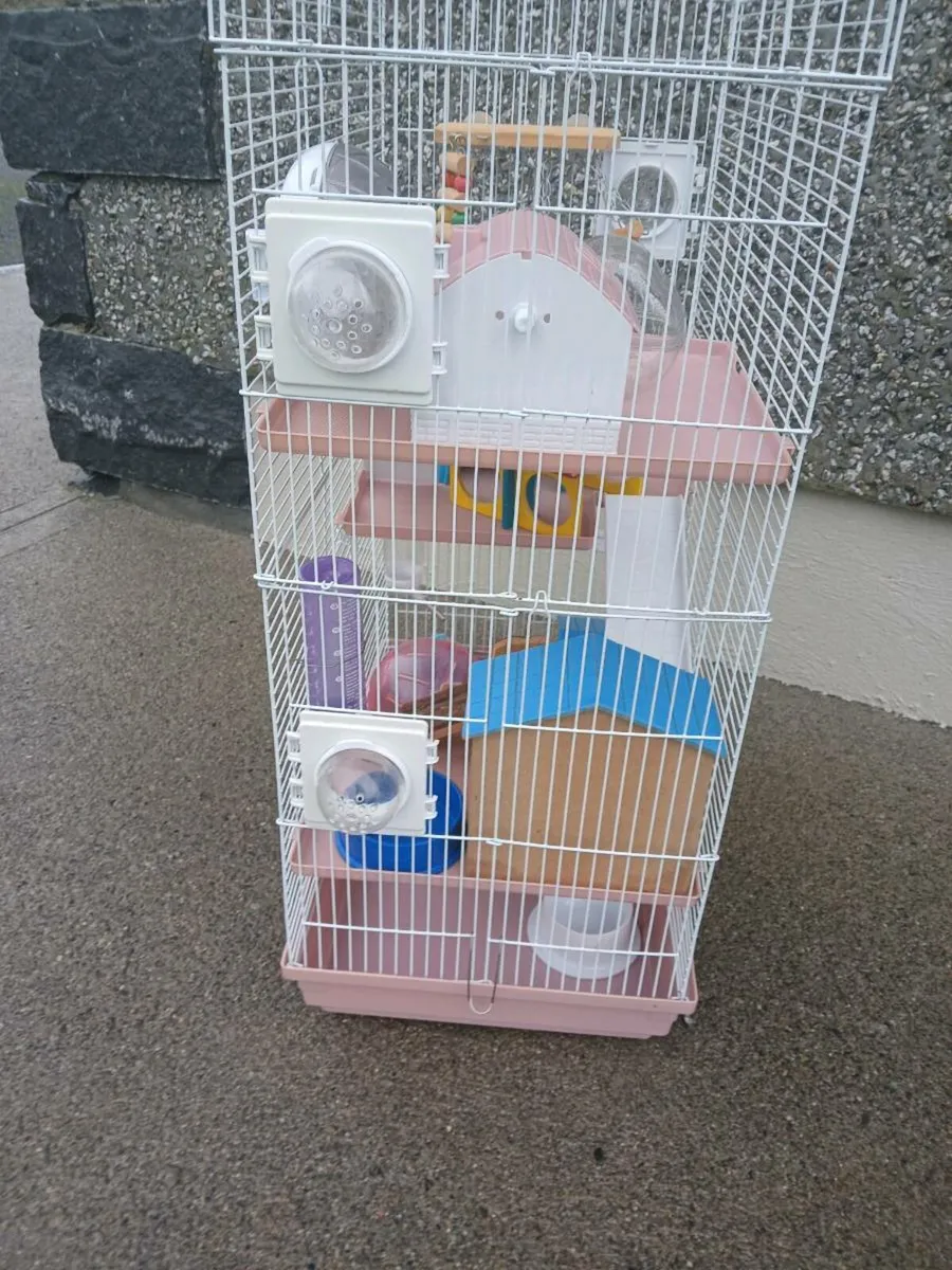 Hamster cage with accessories  and food - Image 3