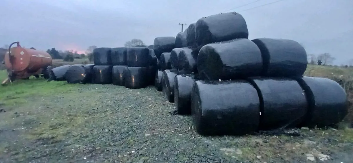 Silage and haylage for sale - Image 3