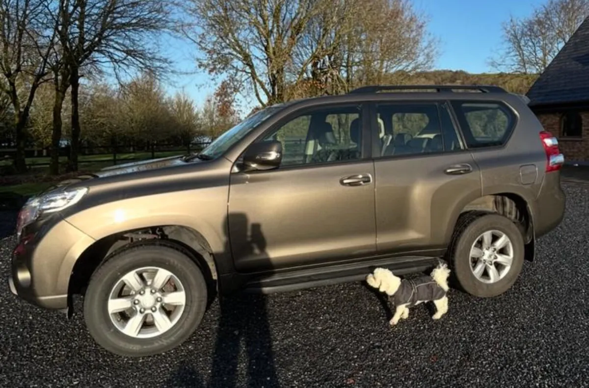 TOYOTA LANDCRUISER 152 - Image 3