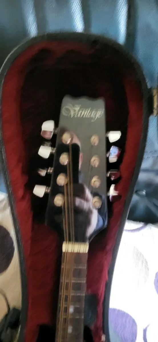 Mandolin plus case - Image 4