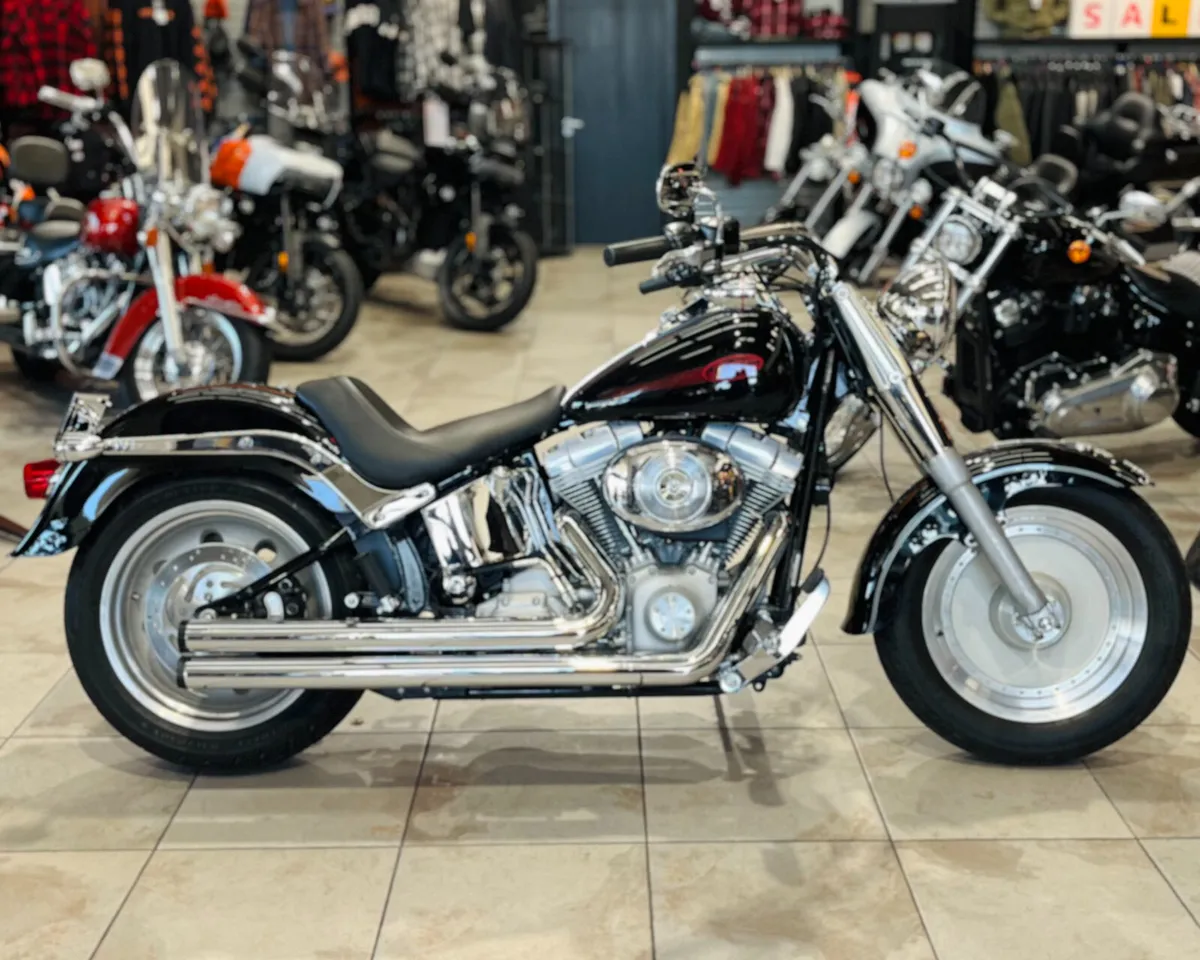 HARLEY-DAVIDSON SOFTAIL CUSTOM - Image 1