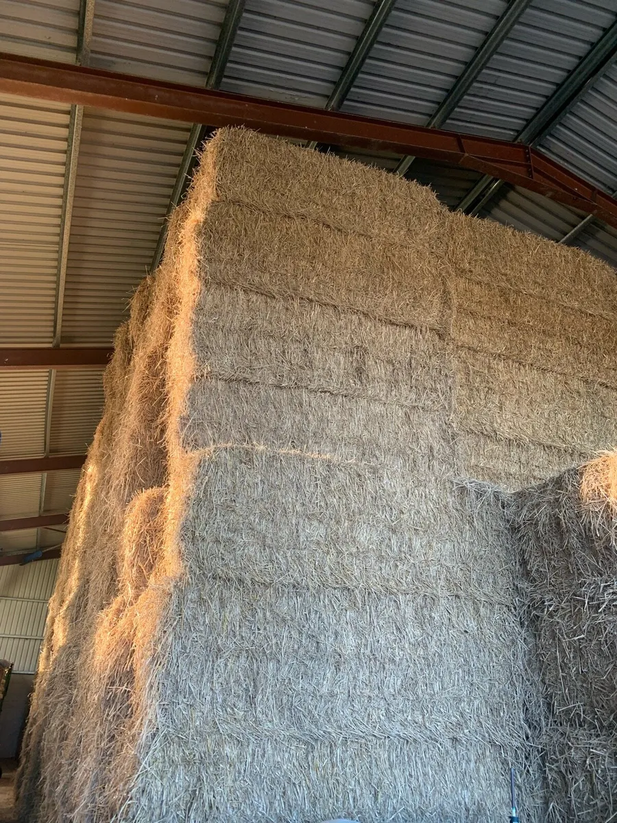 Wheaten straw - Image 3