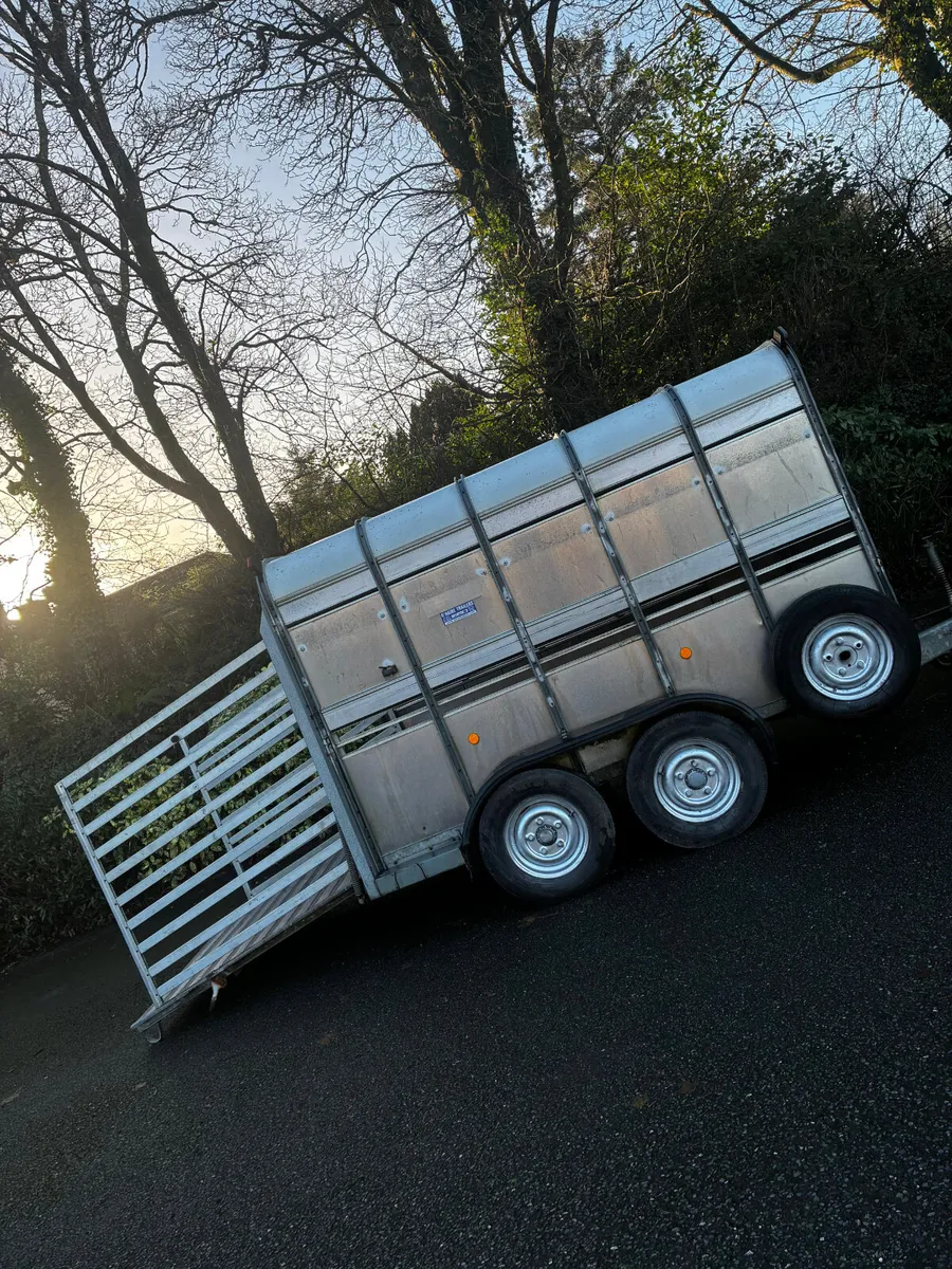 10x5ft 10 iforwilliams cattle box - Image 2