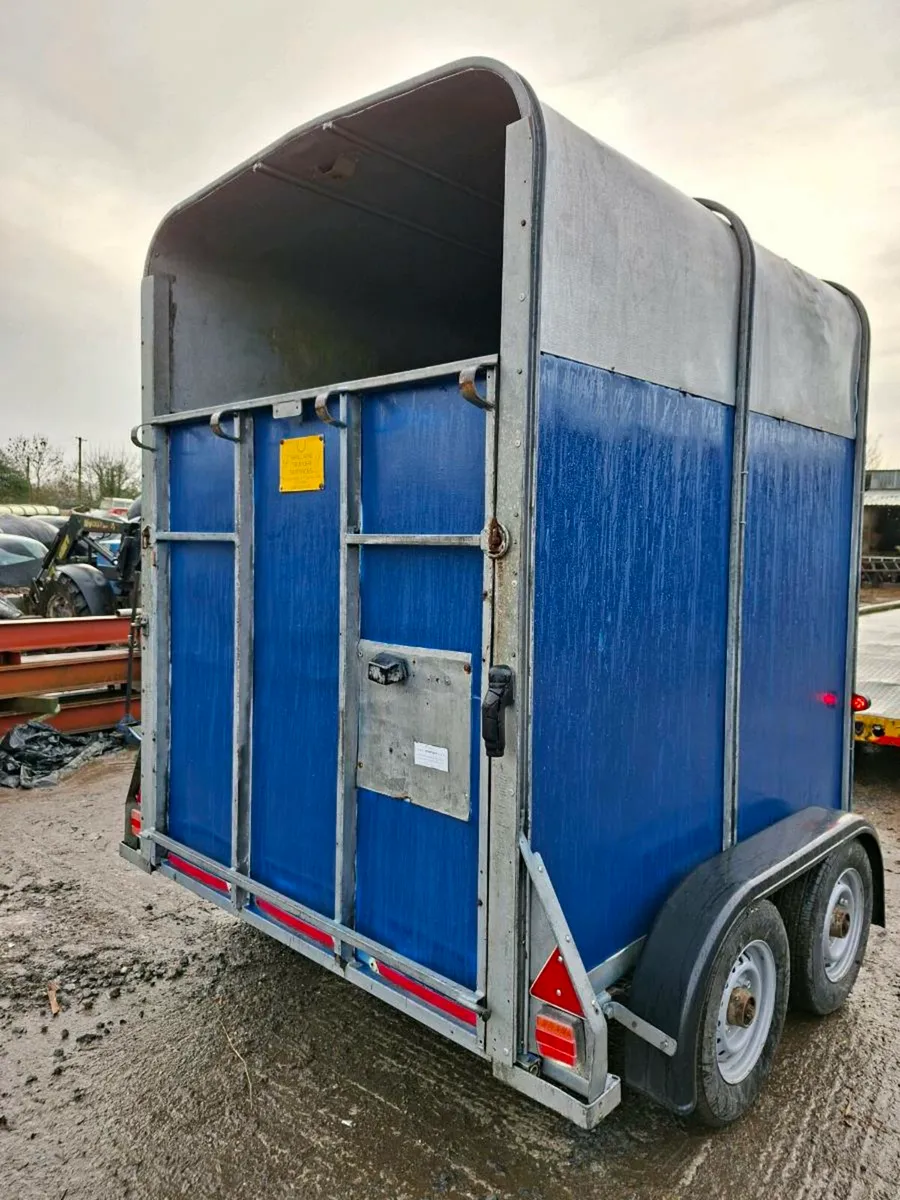 Ifor Williams 505 horsebox - Image 3