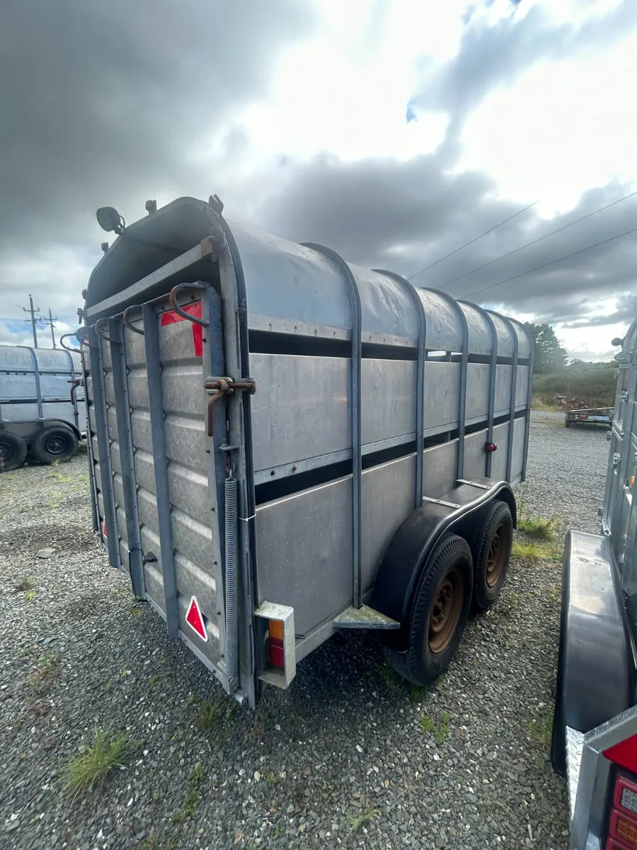 Nugent Cattle Trailer 12x6 - Image 3