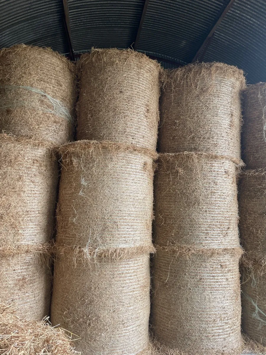 Hay For Sale - Image 1