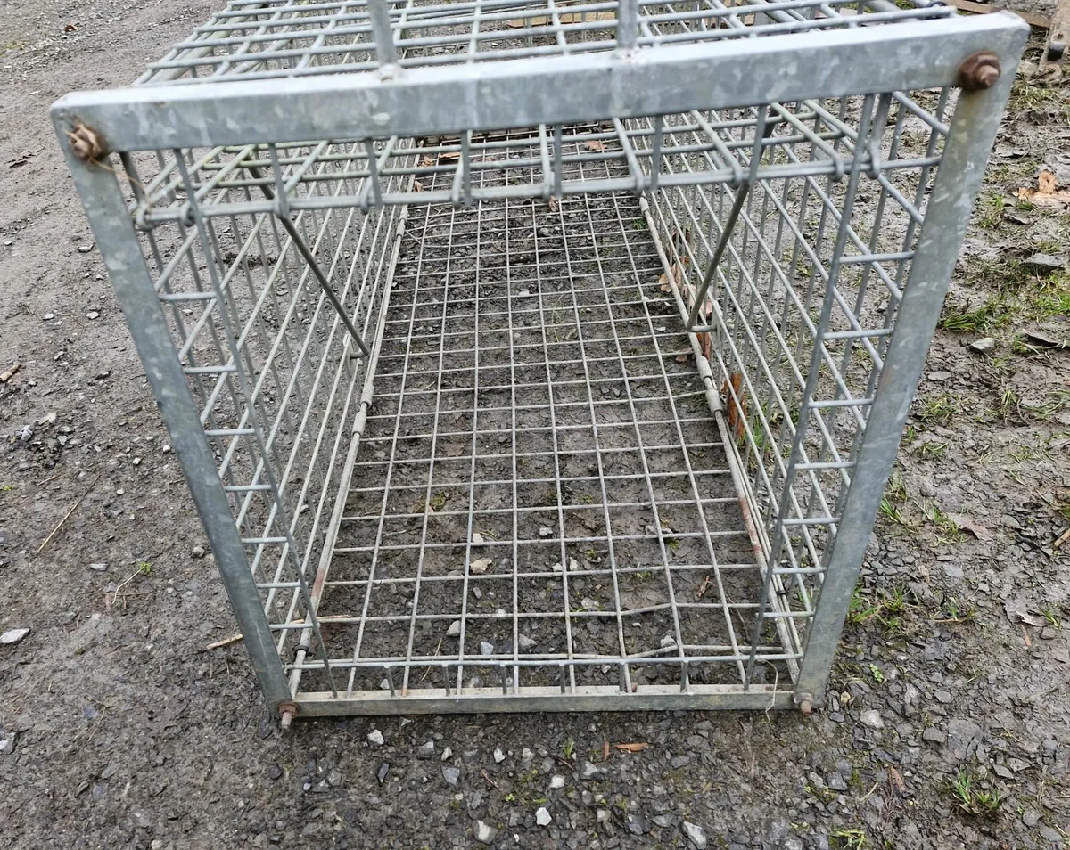 Fox Trap - Image 4
