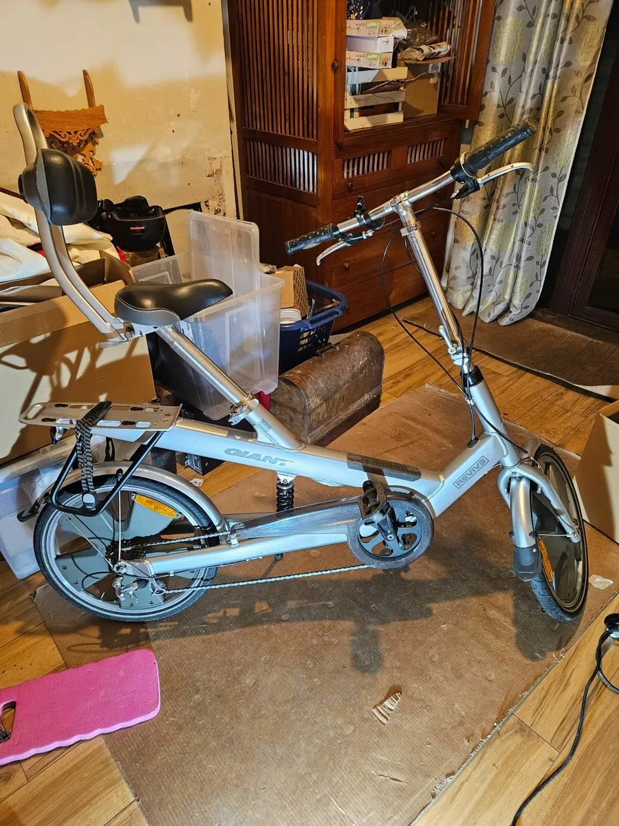 Giant Revive DX - Image 1