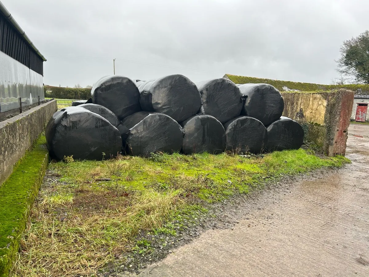 Bales of Silage - Image 1