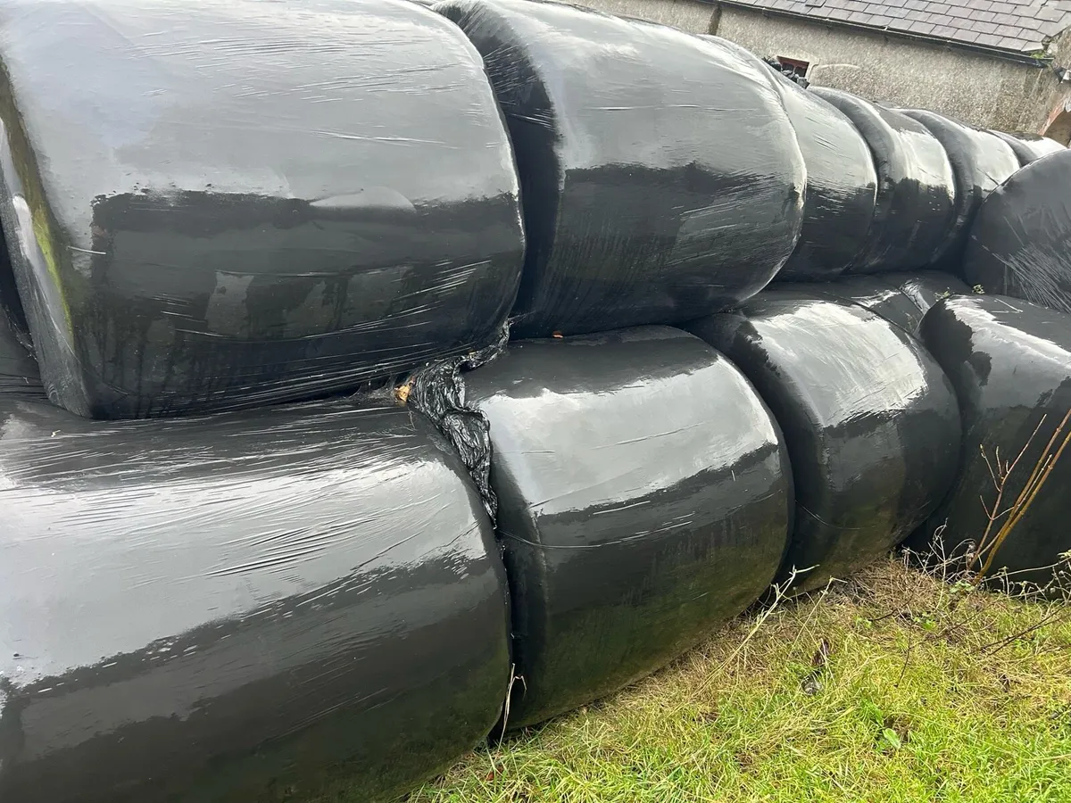 Bales of Silage - Image 2