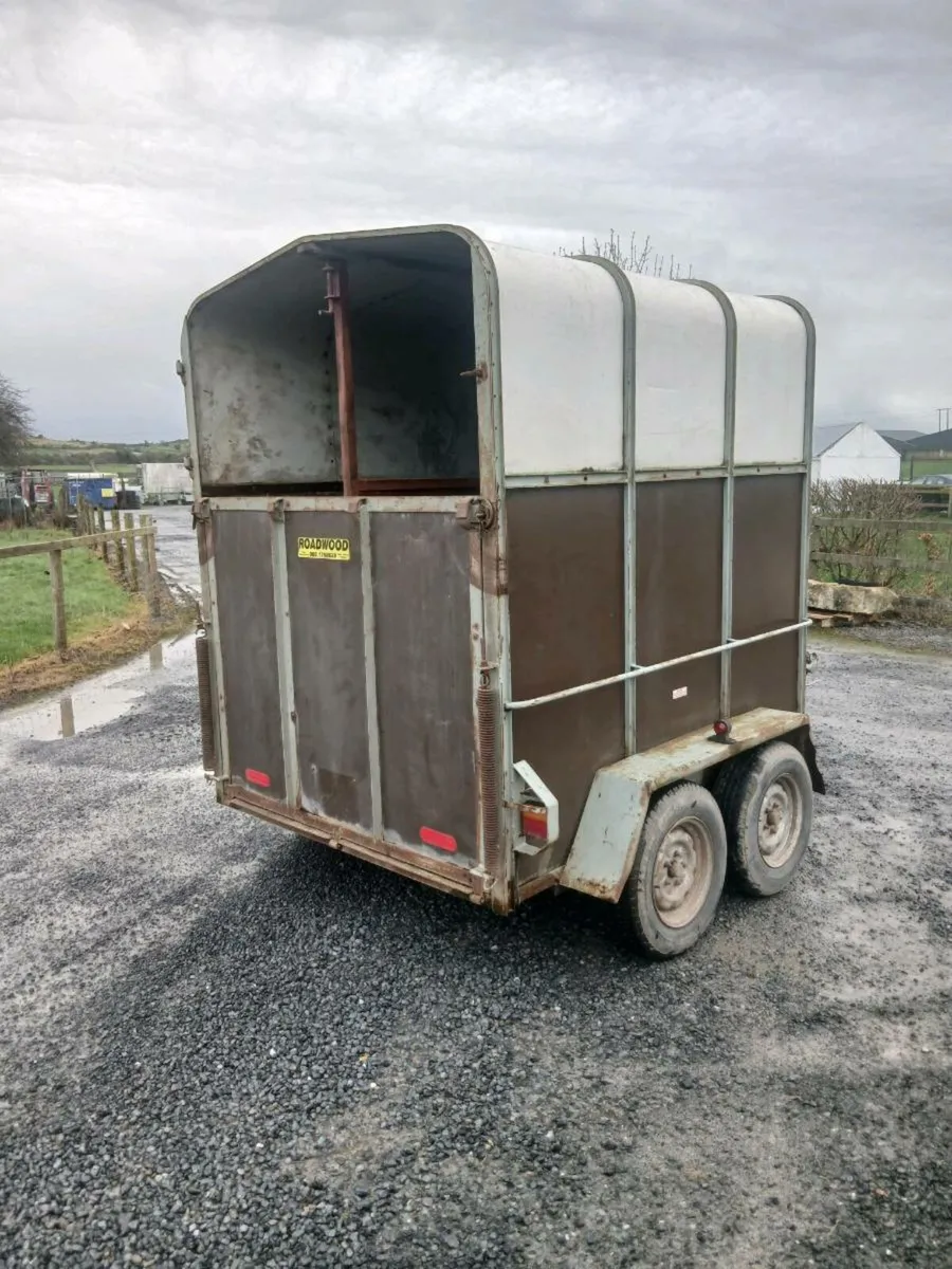 Galway Horsebox - Image 4