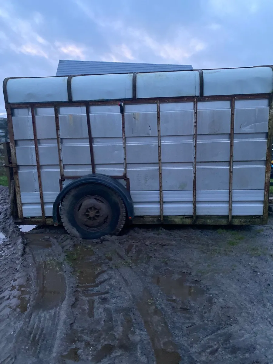 Cattle Trailer - Image 1