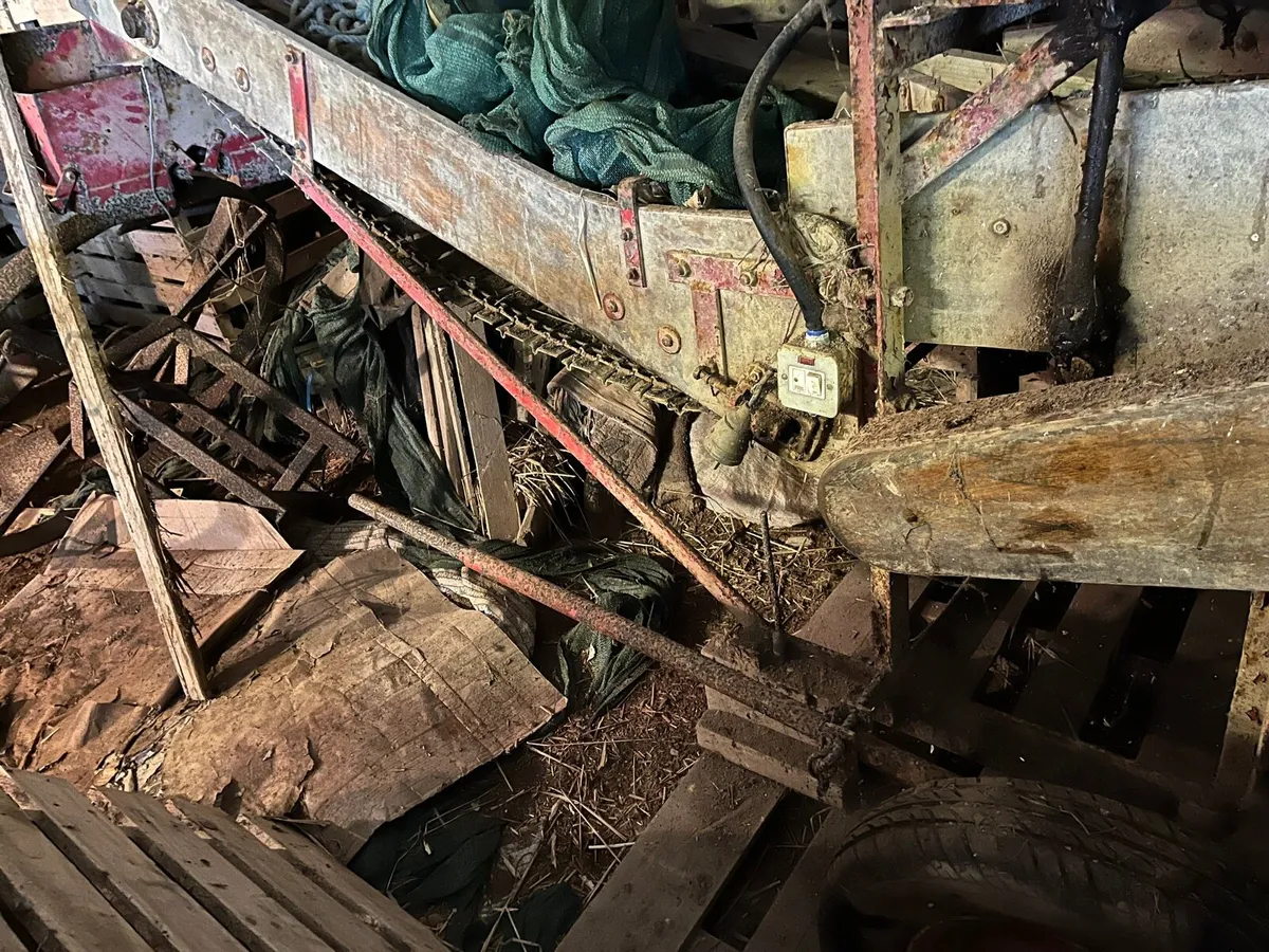 Potato grader - Image 3