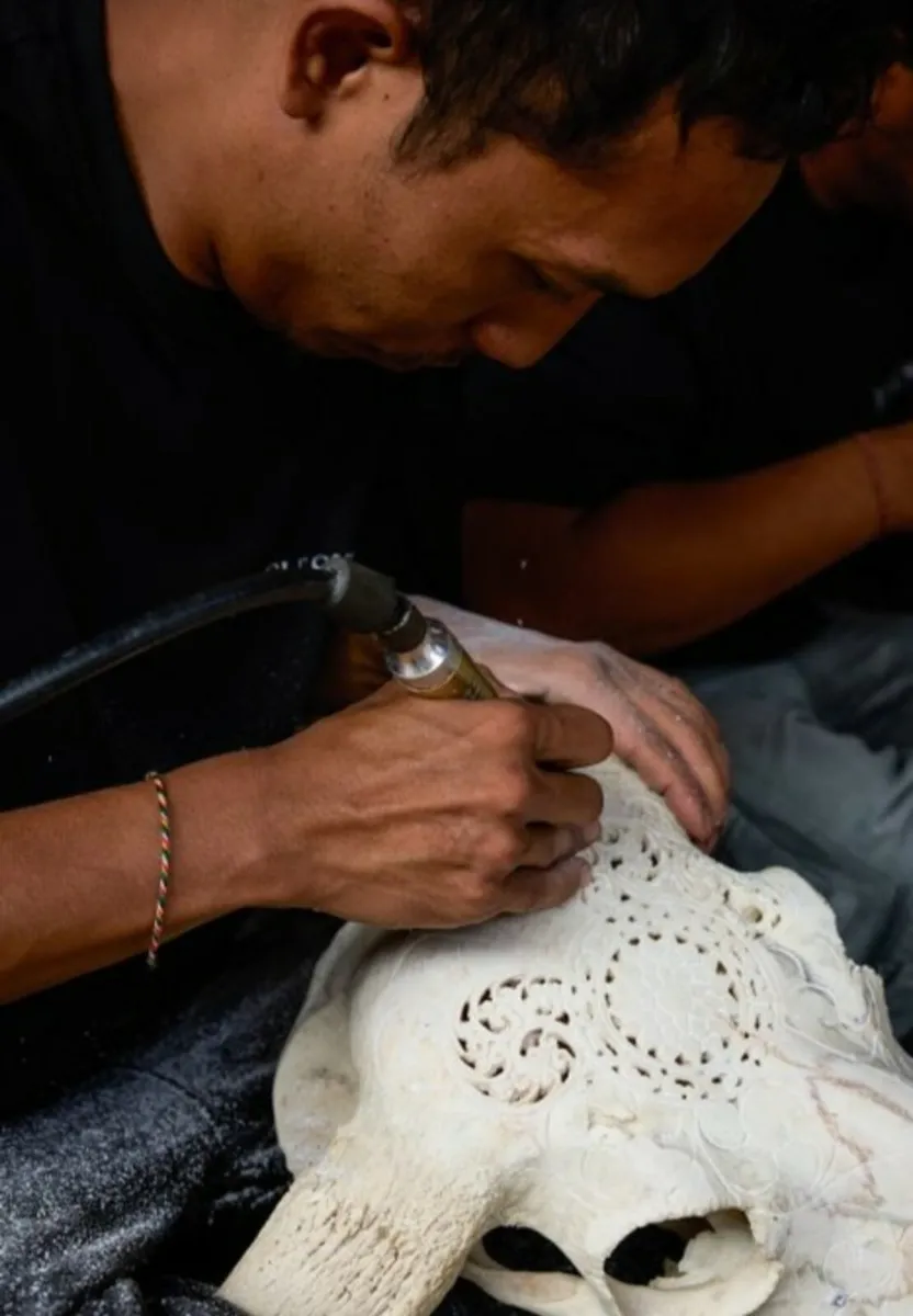 Large authentic brown bull skull Lotus motifs - Image 3