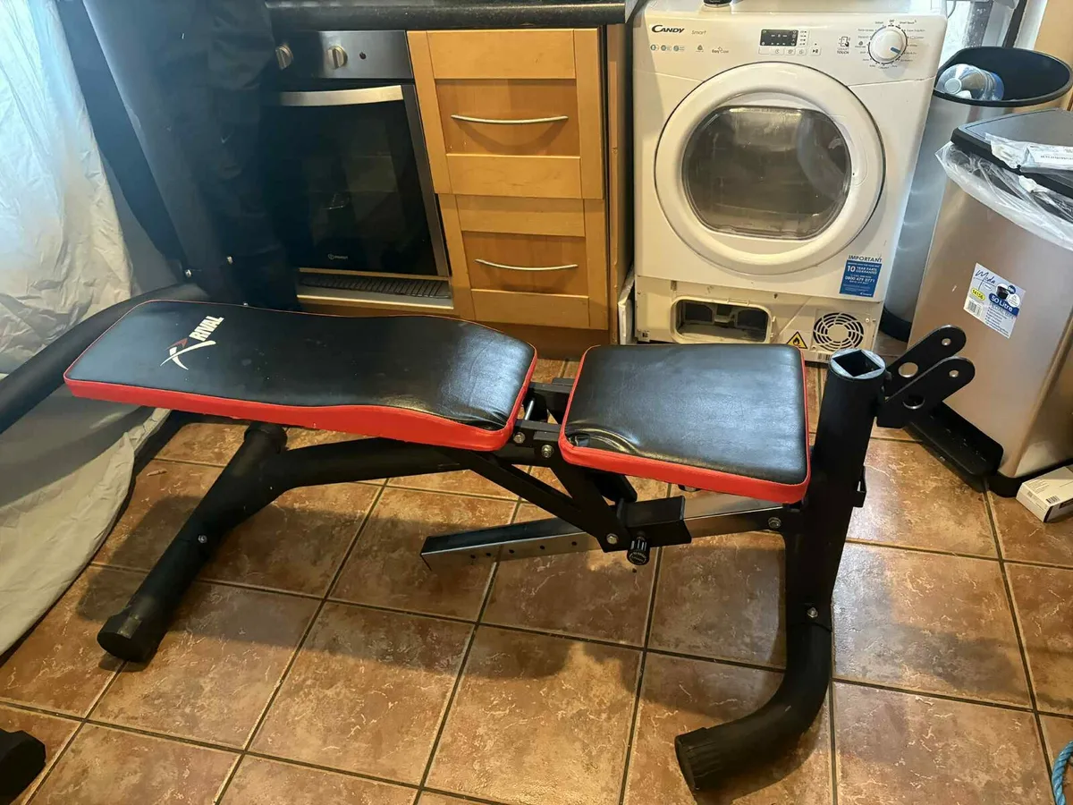 Heavy duty bench with leg extension/curl - Image 3