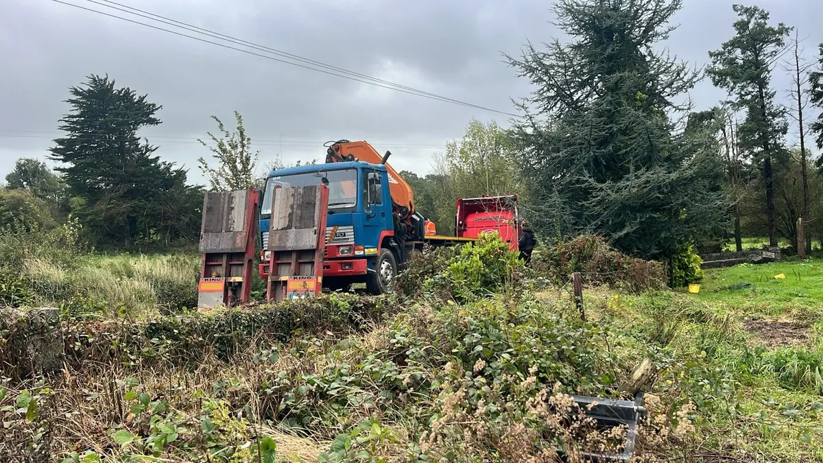 All trucks  and cranes wanted for export - Image 1