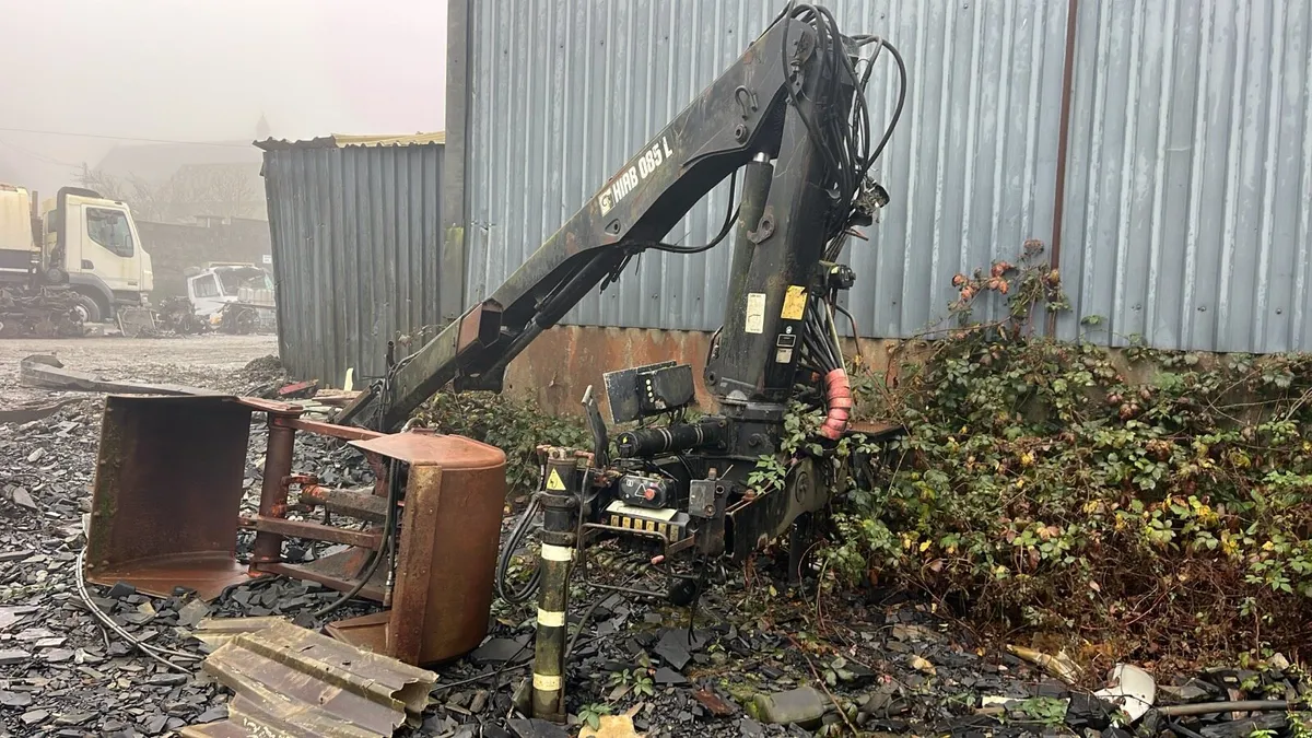 All trucks  and cranes wanted for export - Image 4