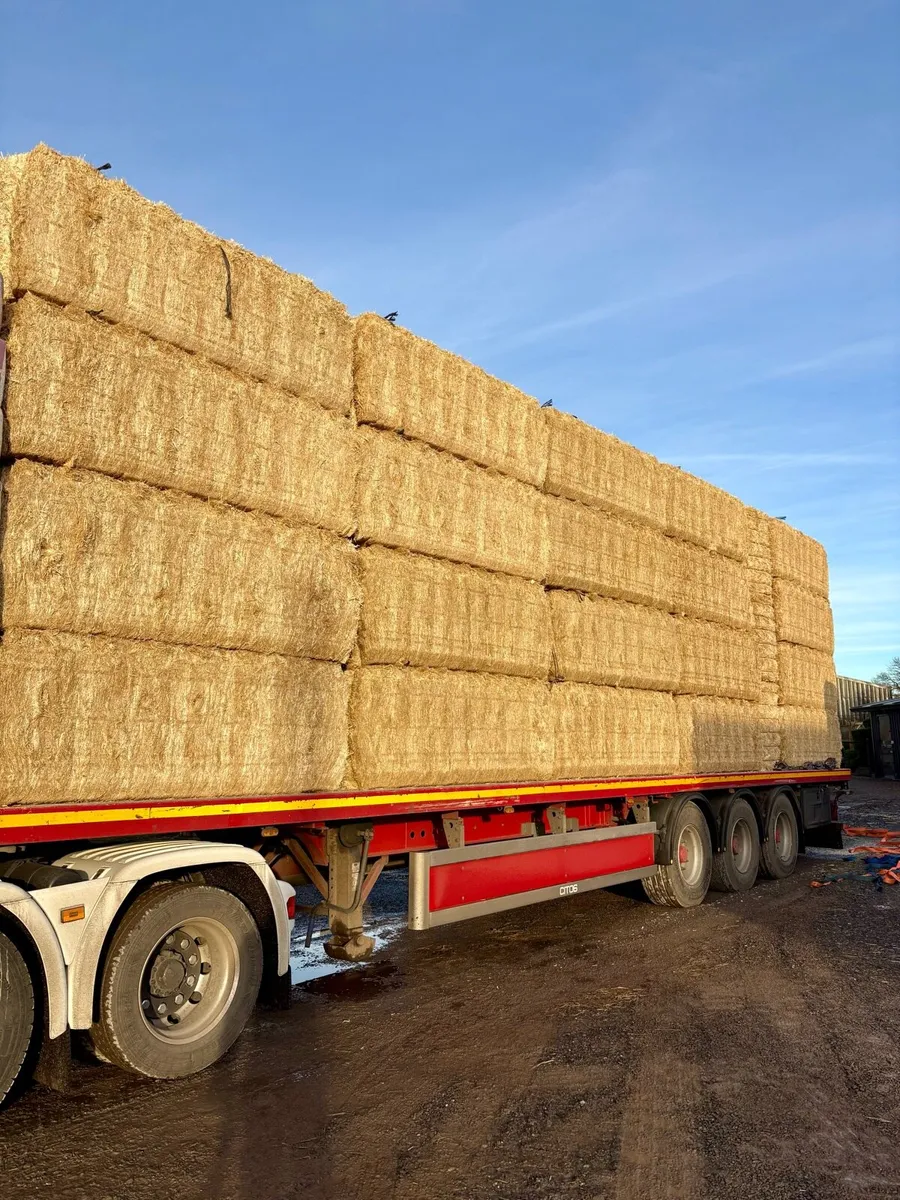 English & Spanish Straw - Ex Yard / Delivered - Image 3