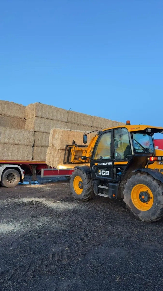 English & Spanish Straw - Ex Yard / Delivered - Image 4