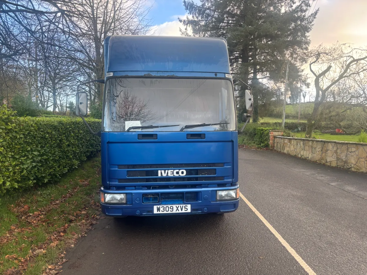 Iveco horse box - Image 2