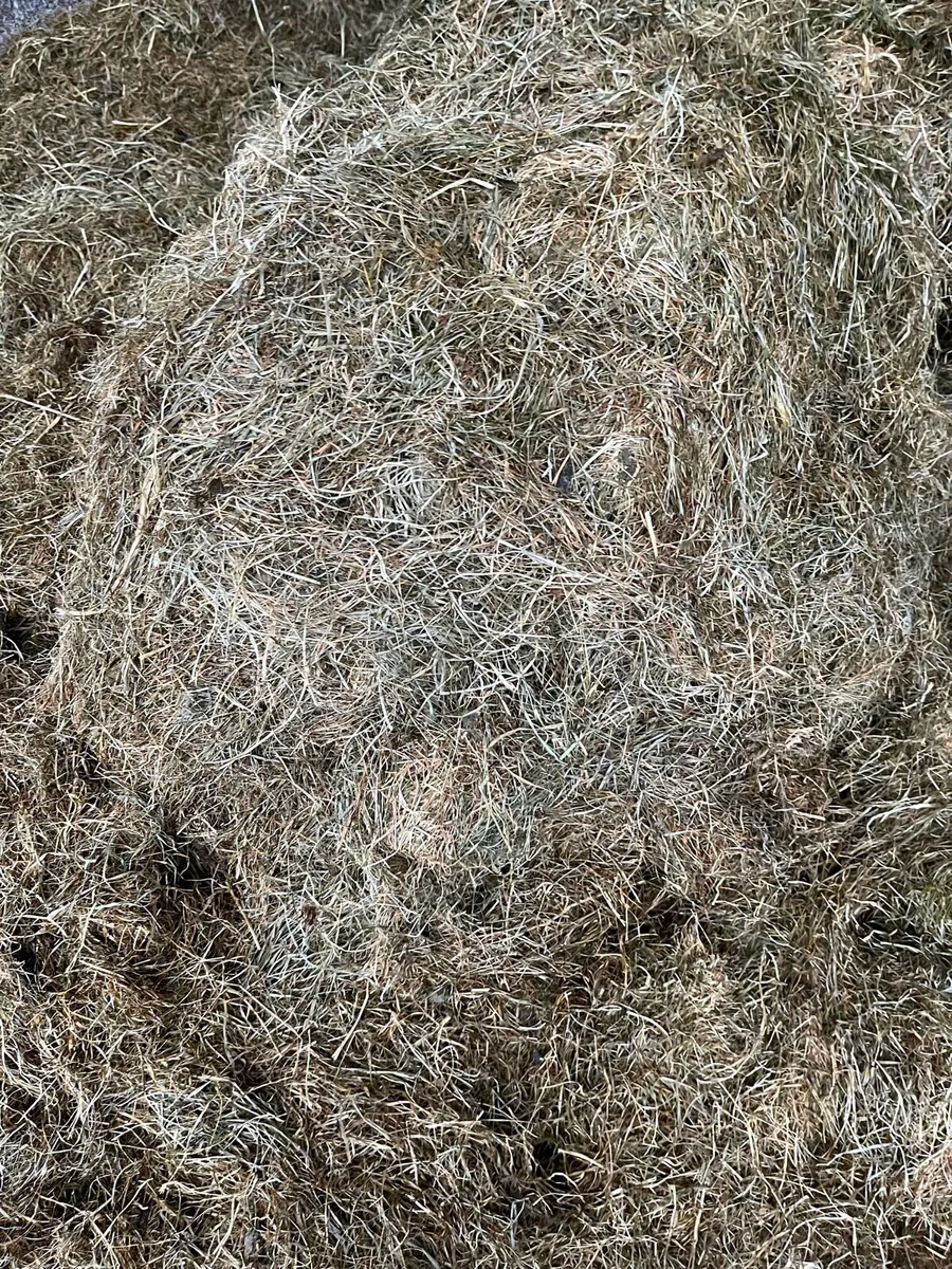 Round Bales - Image 1