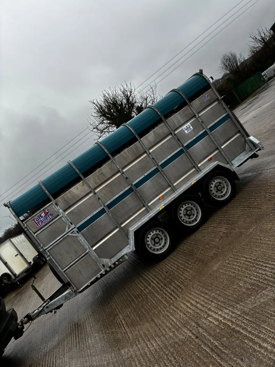 As new 14ft tuffmac cattle box - Image 3