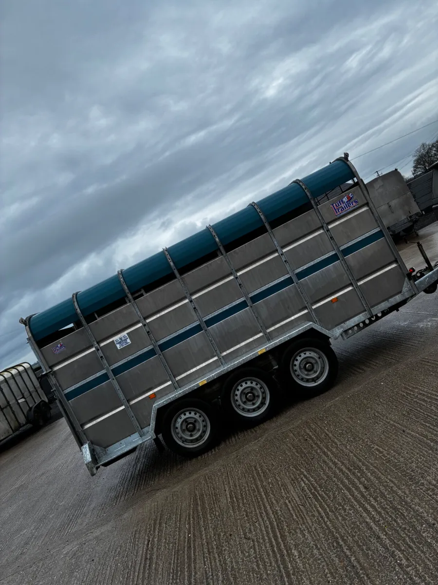 As new 14ft tuffmac cattle box - Image 2