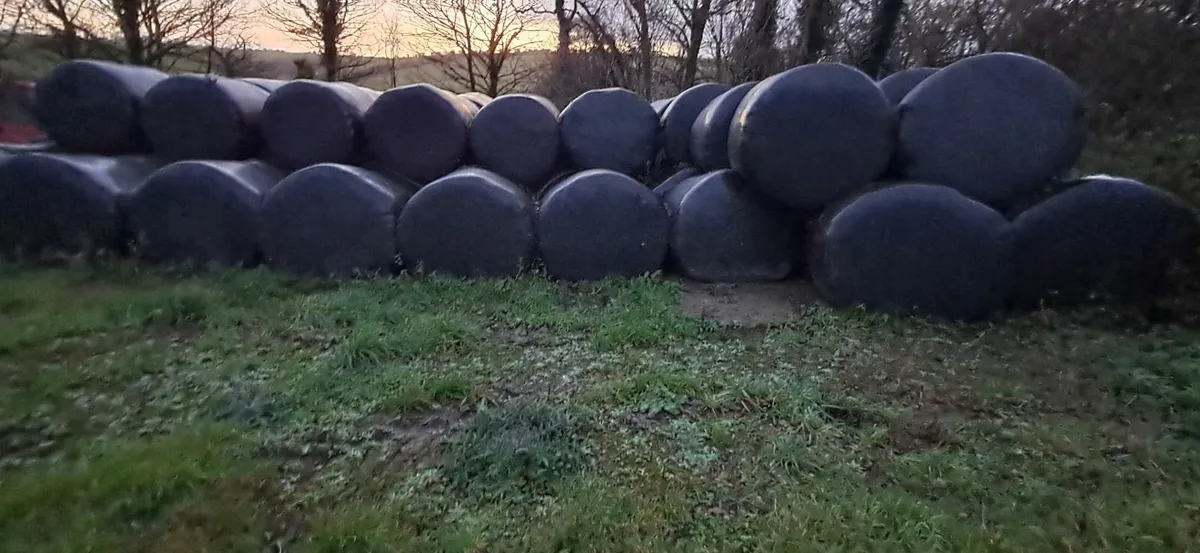 Bale silage - Image 1
