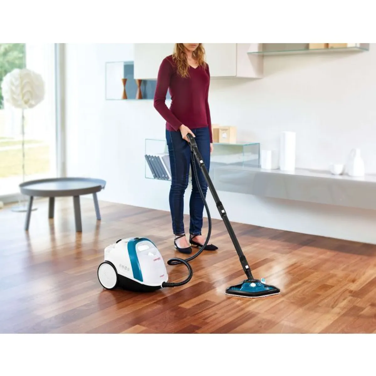 Steam Cleaner - Image 1
