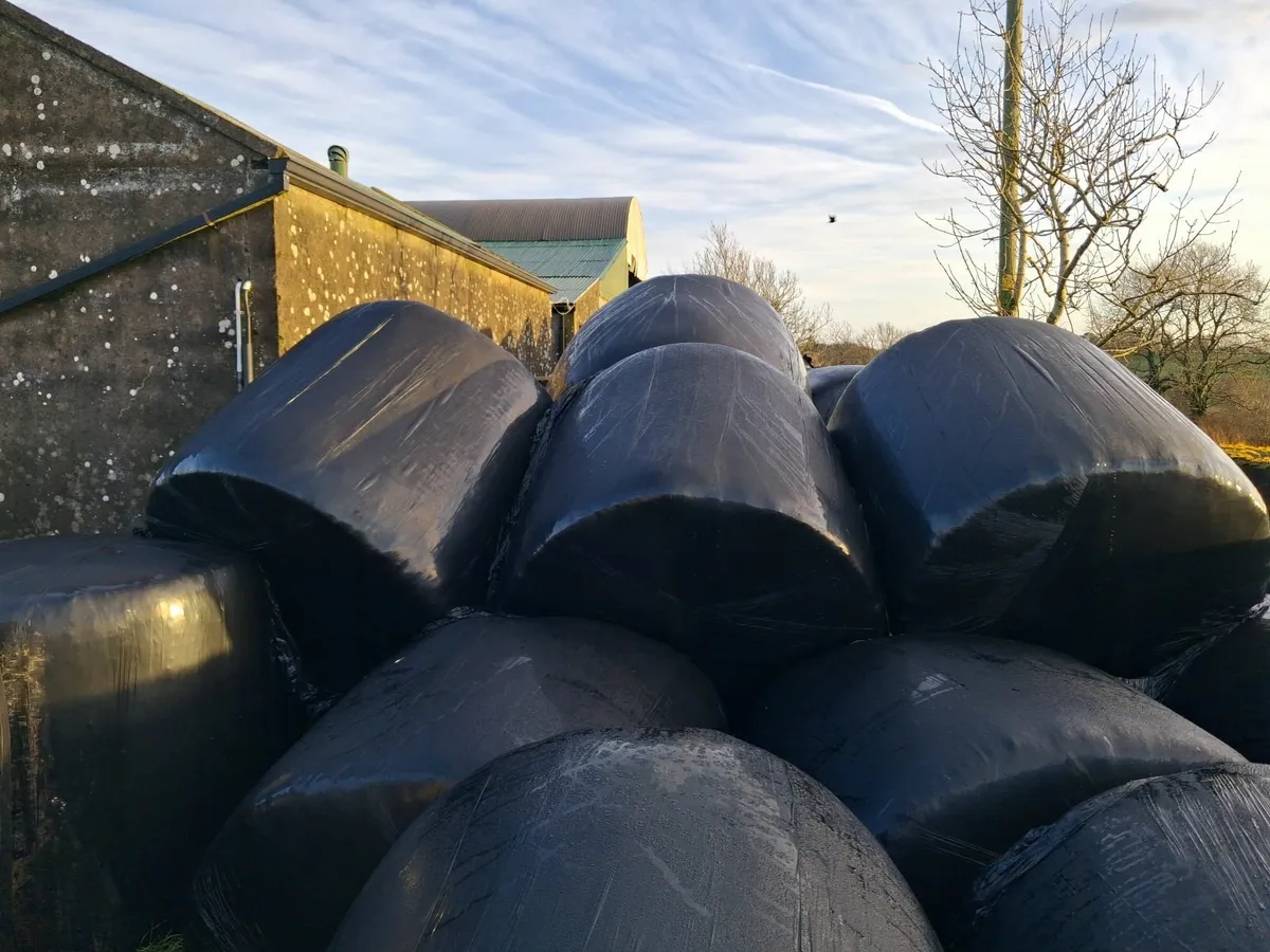 Silage Round Bales - Image 1