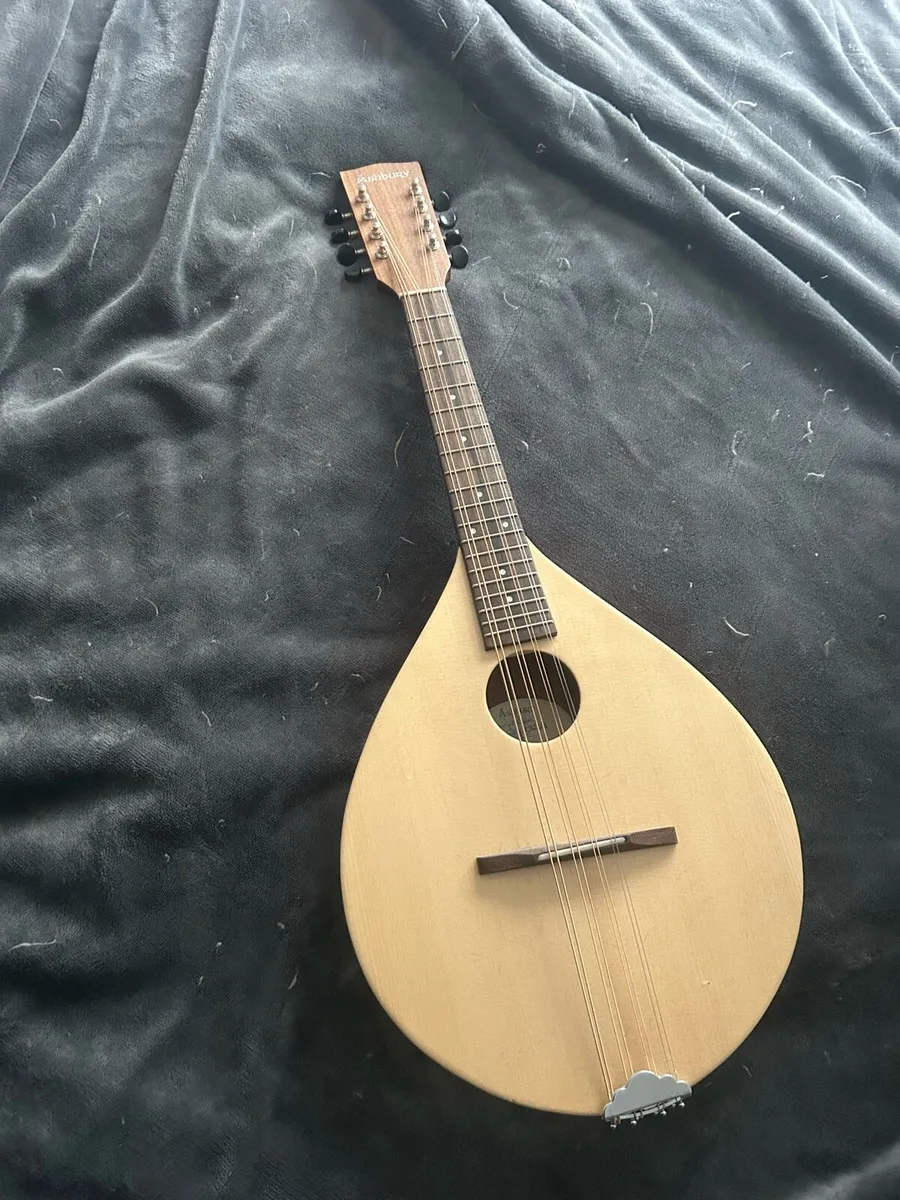 Ashbury mandola - Image 1