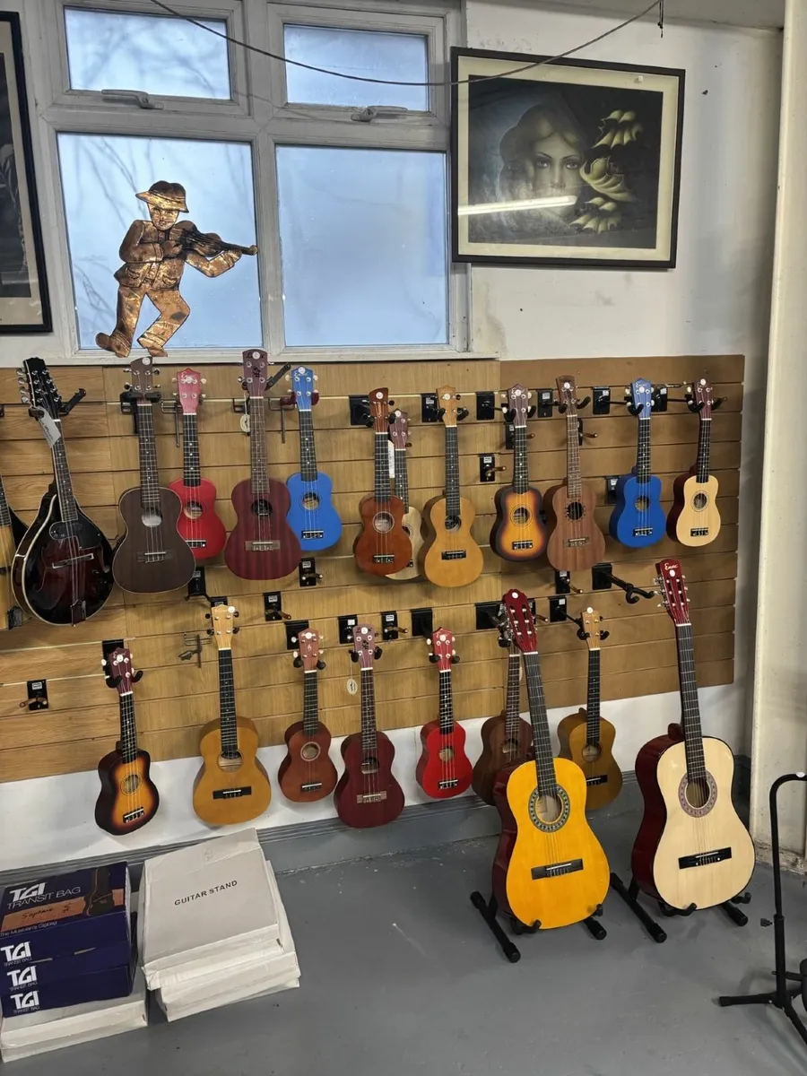 Mandolins & Ukuleles for Sale in Cork - Image 1