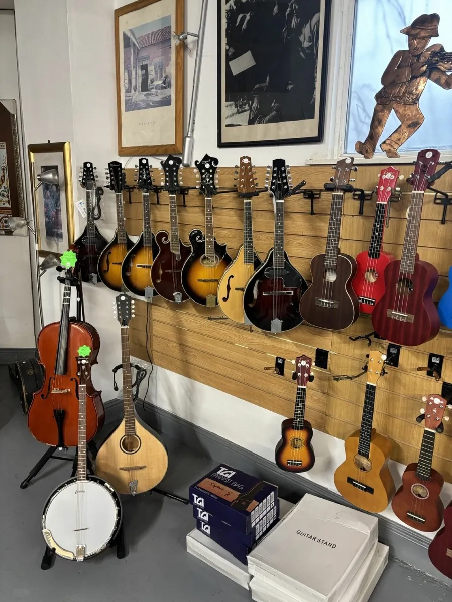 Mandolins & Ukuleles for Sale in Cork - Image 2