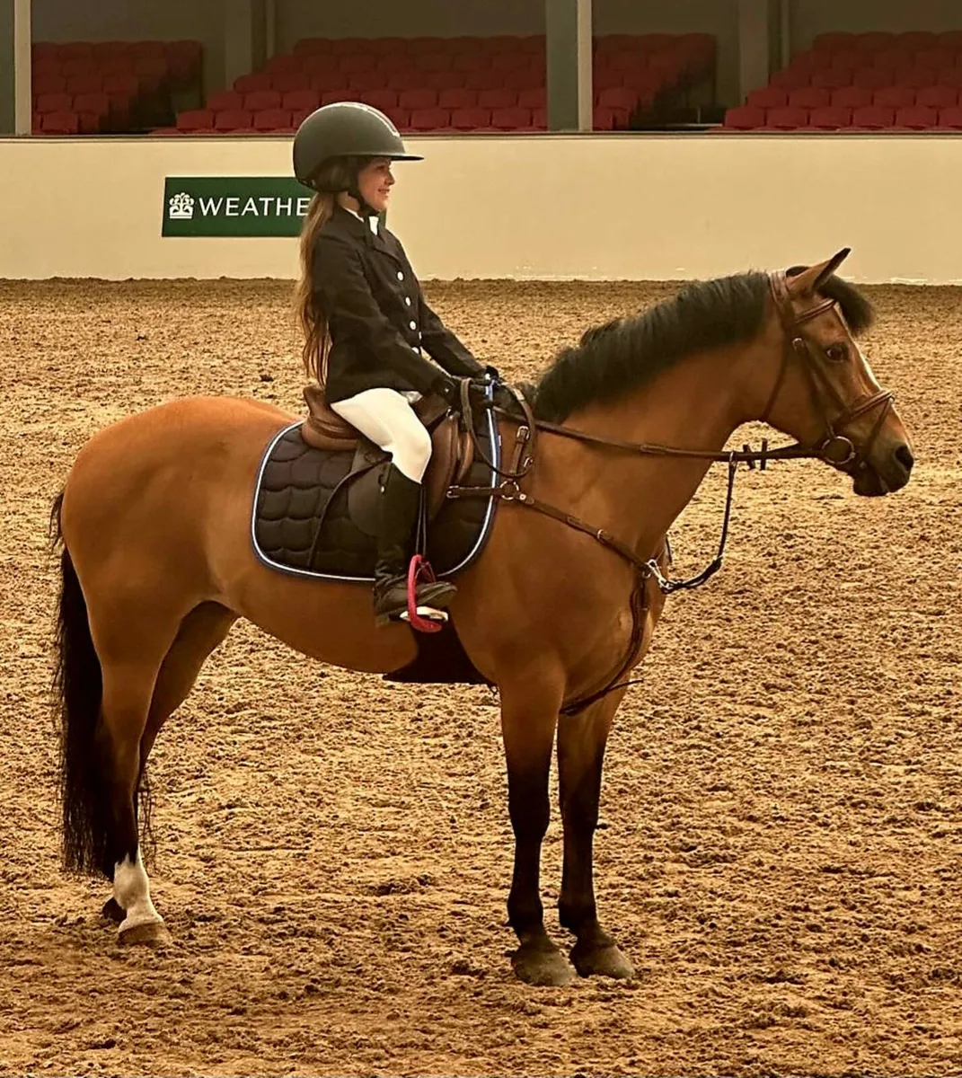 Flashy allrounder - Image 1