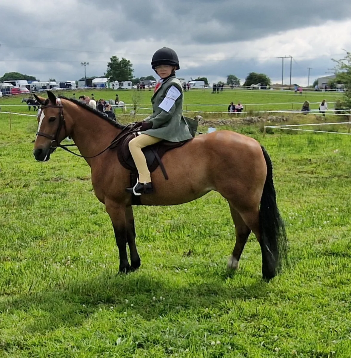 Flashy allrounder - Image 4