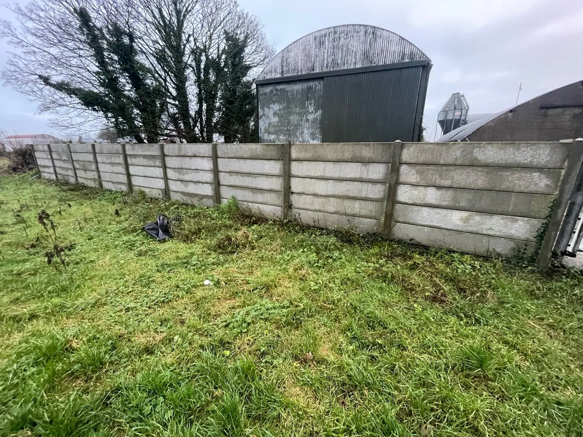 Concrete post and panels