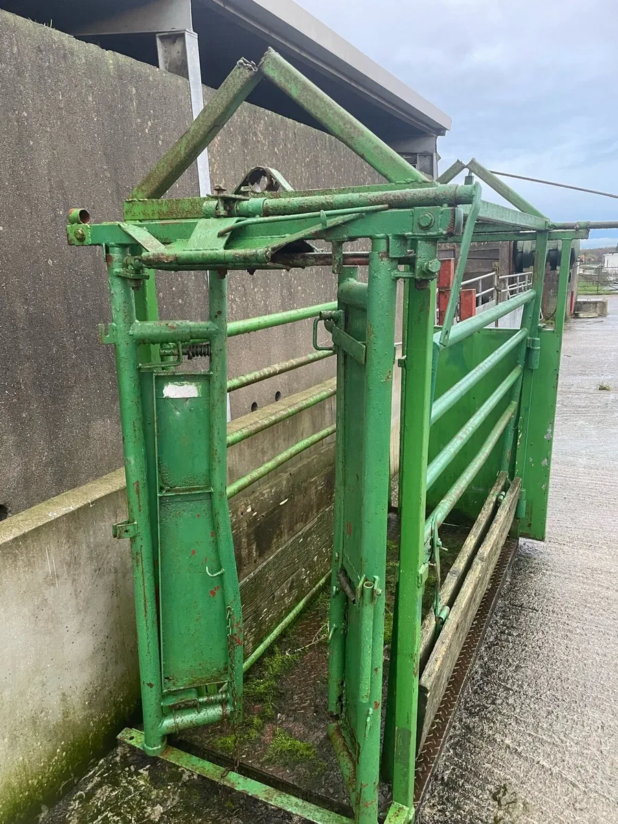 Mobile cattle crush - Image 1