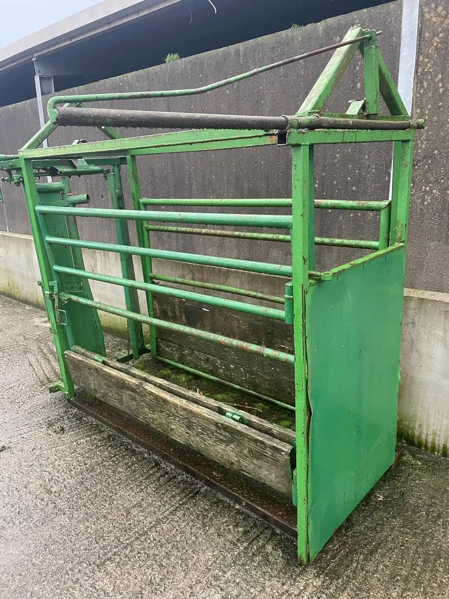 Mobile cattle crush - Image 2