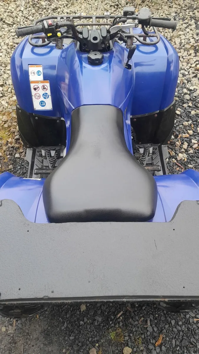 Yamaha Grizzly 300 - Image 3