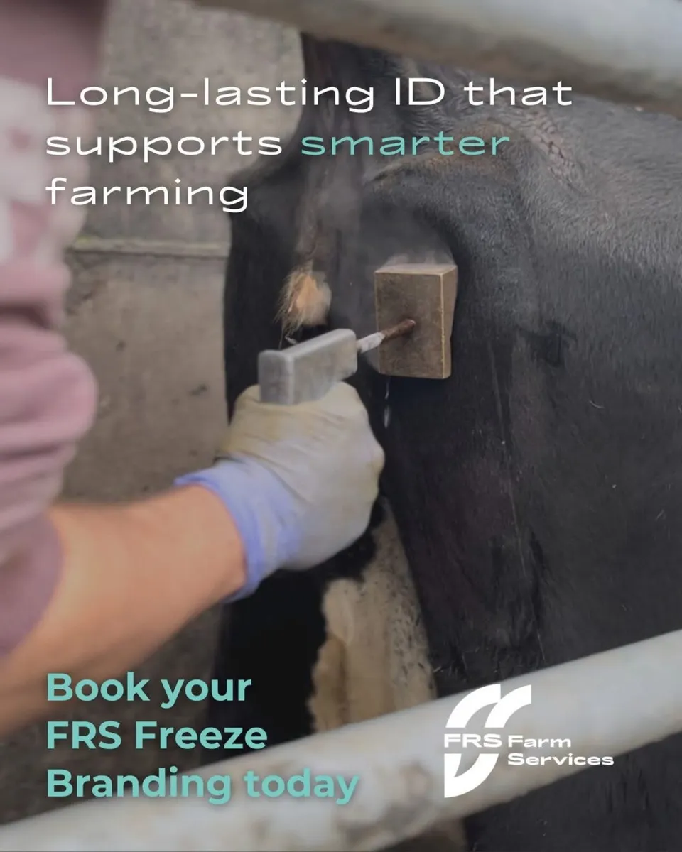 Wanted freeze branding irons