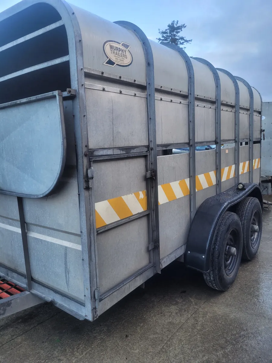 Murphy 12ft x 5ft 10 Cow Box - Image 4